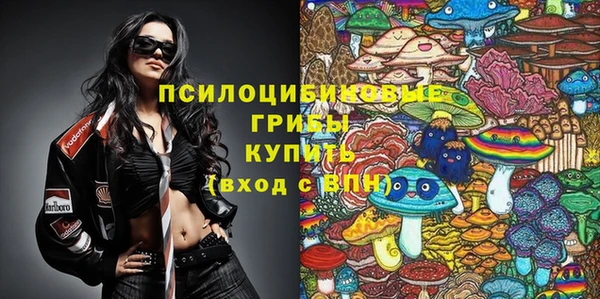 МДПВ Майский