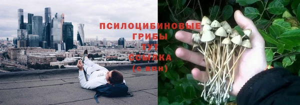 МДПВ Майский