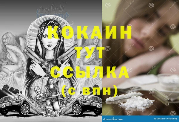 гашик Магадан