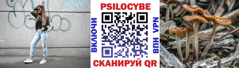 купить наркотик  Топки  Галлюциногенные грибы Psilocybe 