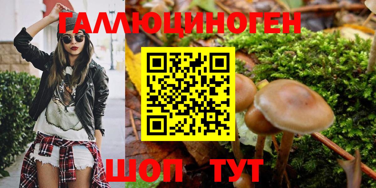 Псилоцибиновые грибы Psilocybe  Галлюциногенные грибы MAGIC MUSHROOMS  Вход с VPN  Топки 