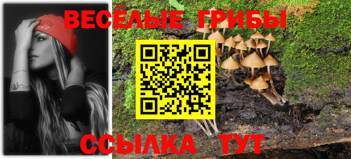 Галлюциногенные грибы Cubensis  Топки 