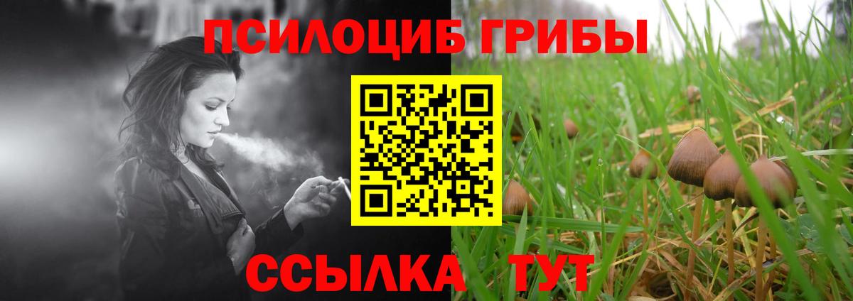 Псилоцибиновые грибы ЛСД Топки